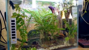 Мини аквариум 15 литров.