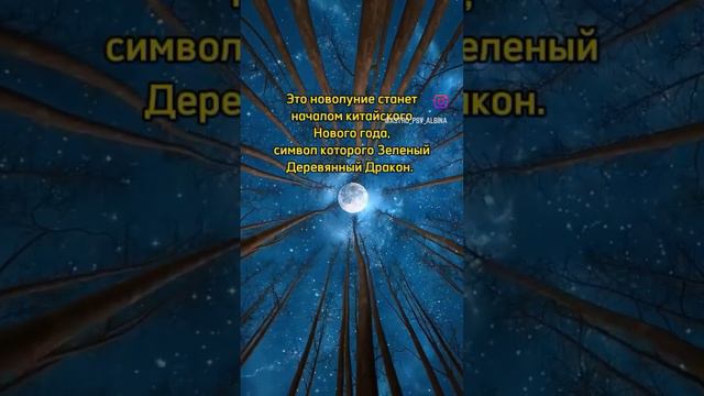 10 февраля 2024 год Новолуние