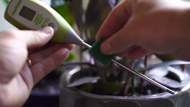 Rapitest® Soil Moisture Meters смотреть онлайн