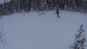 Охота на боровую на лунках. ГЛУХАРЬ. Первый трофей года.