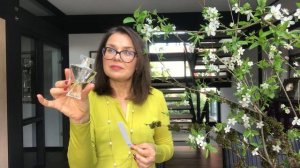 ШЕДЕВРЫ ПАРФЮМЕРИИ.ЕЛИСЕЙСКИЕ ПОЛЯ ОТ ГЕРЛЕН #guerlain #champsélysées #герлен #парфюмерия