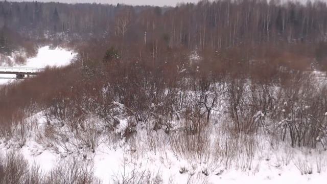 Охотхозяйство. Что выгоднее: своё или покупное?