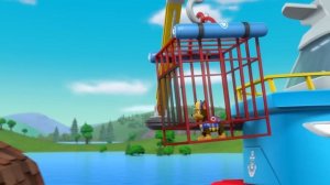 PAW Patrol | ¡1 hora de los MEJORES rescates de la Patrulla Marina!| Nick Jr. en Español
