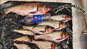 Очередной выезд на р.Миус