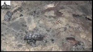 Слои пожаров в подвале XIV века