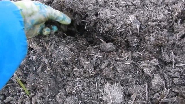 Мульча на грядках