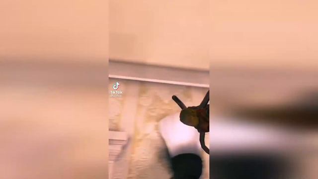 Ютуб Для Мемов❗ - Нарезка Мемов из ТикТок #7 смотреть онлайн