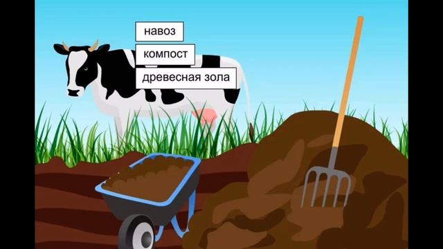 Минеральные удобрения