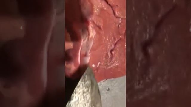 Паразиты в мясе