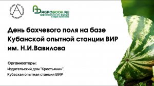 Мульчирование почвы целлюлозой.