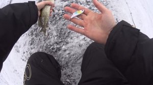 Ратлины (вибы) с алиэкспресc