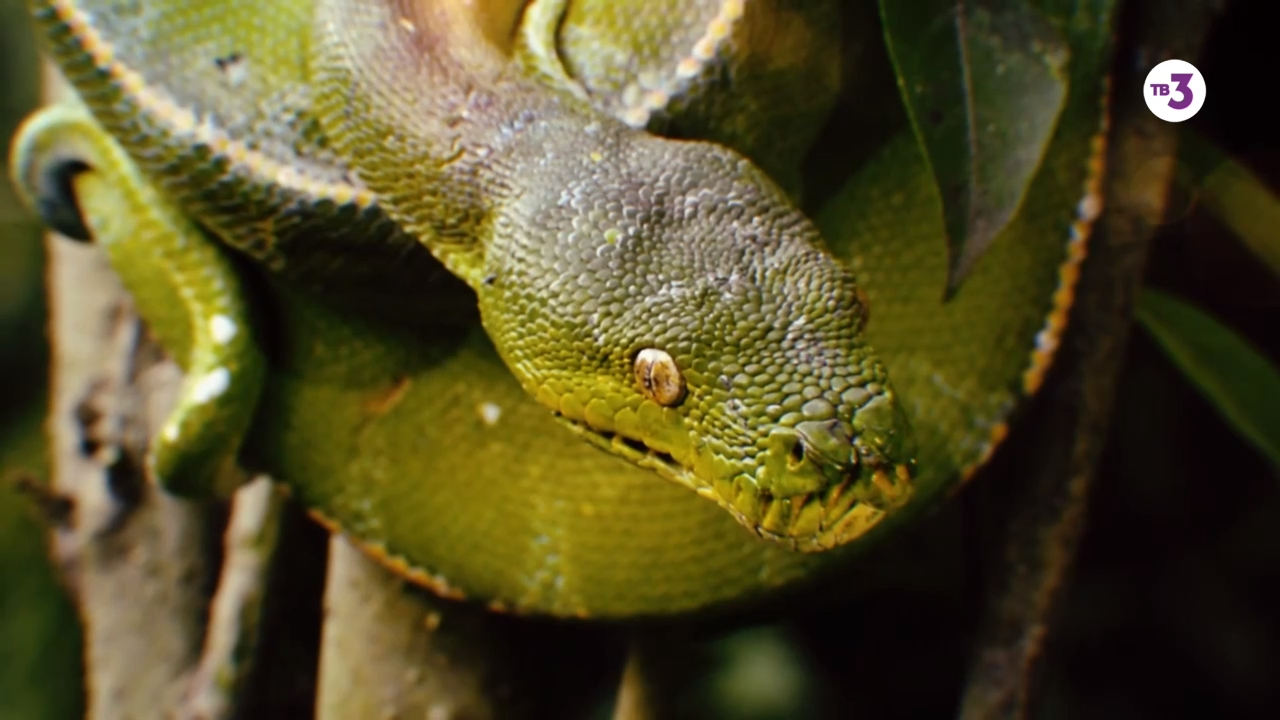 Последний герой. Актеры против экстрасенсов | с 2 марта на ТВ-3