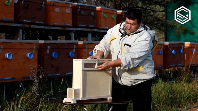Апикейс. Обзор апикейса для апитерапии. смотреть онлайн
