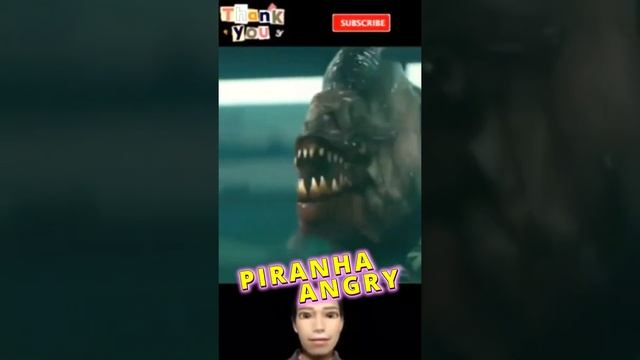 Piranha Angry #shorts #shortsvideo #viral #viralshorts