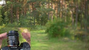 TTArtisan 50mm F1.4 Tilt. Объектив не для каждого.