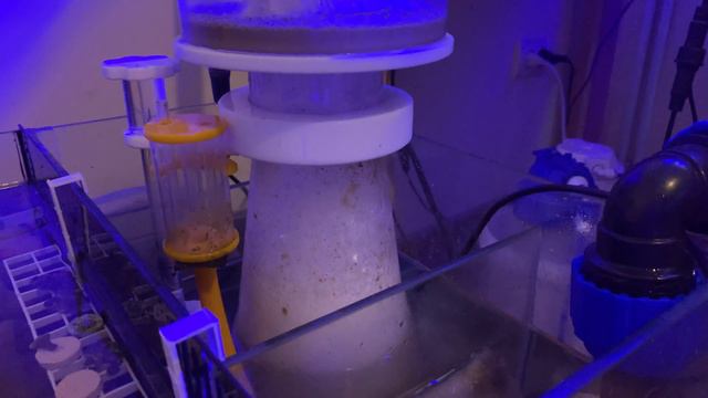 Освободил место для тонны | Морской аквариум смотреть онлайн