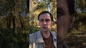 Страхи и ценности