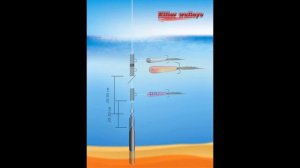 Снасть на судака бородка Killer Walleye, ловля спиннингом.