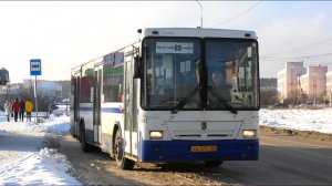 Автобус НефАЗ-5299-20-32 бор. №1041 маршрут №85 на остановке "Поселок Мичуринский"