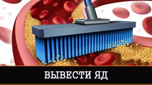 НЕЙТРАЛИЗОВАТЬ ВОЗДЕЙСТВИЕ ЛЕКАРСТВ ОЧЕНЬ СИЛЬНО ДЛЯ ВСЕХ