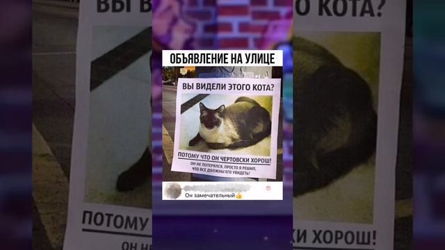 mem 13