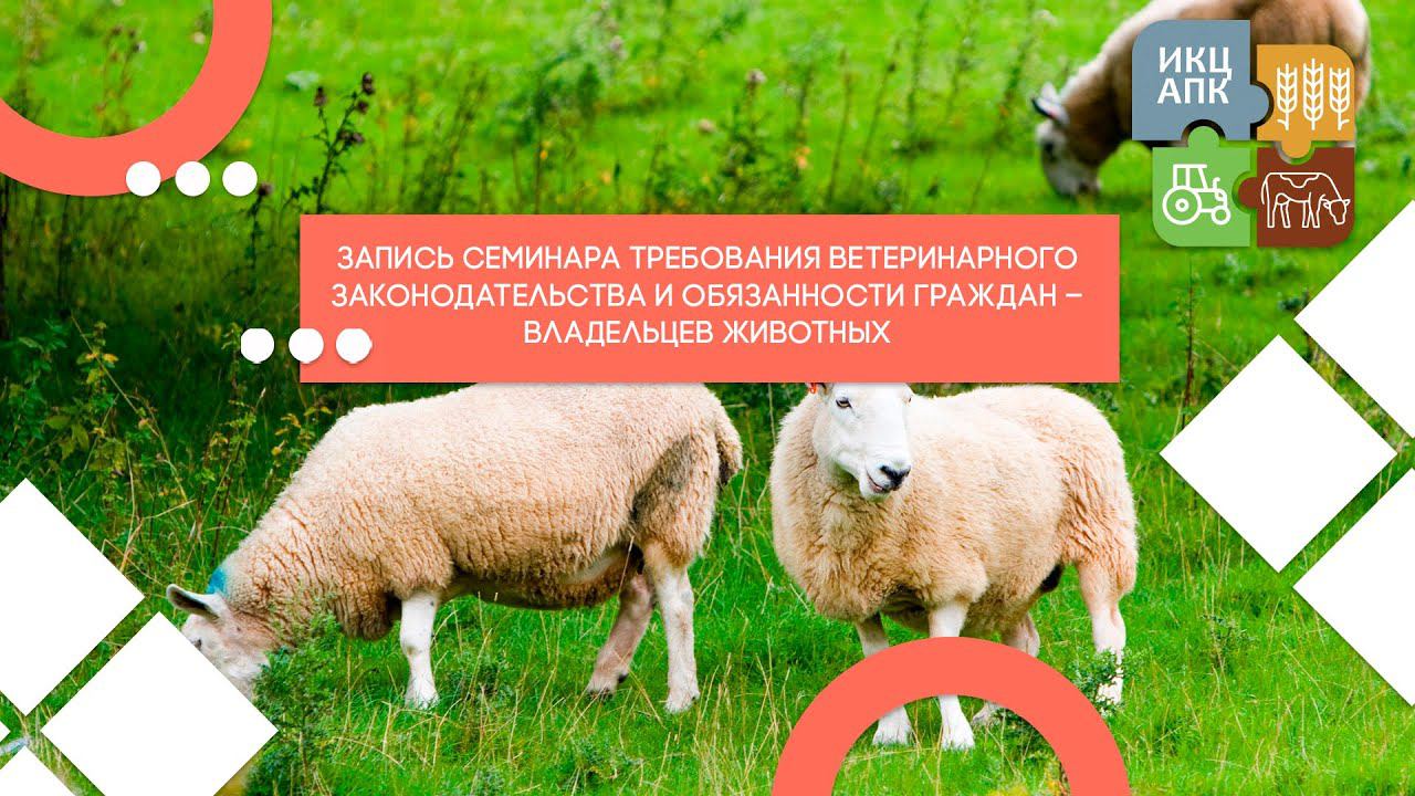 Запись семинара от 15 февраля 2022 года