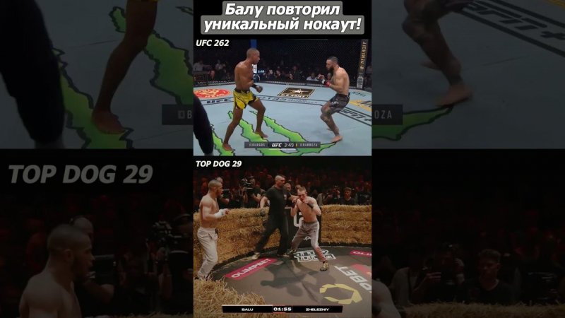 УНИКАЛЬНЫЙ нокаут Балу против Железного на Top Dog 29.