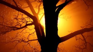 Почему мы не можем увидеть душу