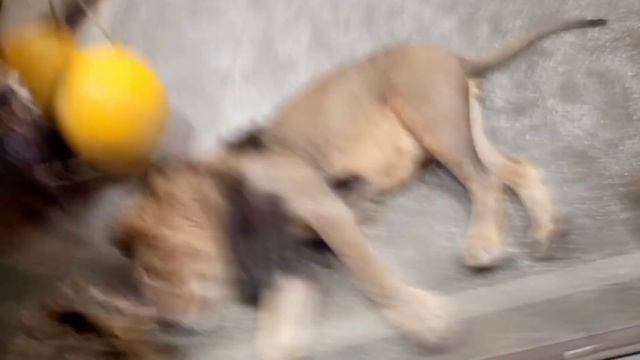 13 июня 2023 г. смотреть онлайн