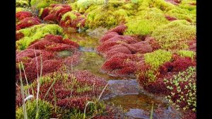 Самая северная Земля Франца-Иосифа