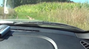 По святым местам! Часть 1. Паниковец