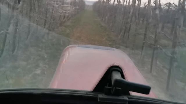 Sadowniczy Vlog #43/Yara Mila Complex rozsiany смотреть онлайн