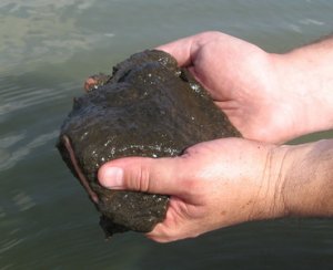 Ваше производство продукции из лечебной и косметической грязи