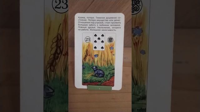 ПоНеДеЛьНИк‼️20.03.2023?