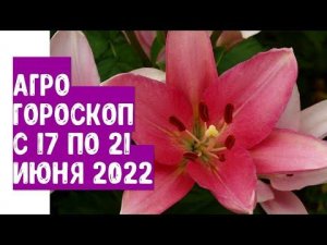 Агрогороскоп с 17 по 21 июня 2022 года