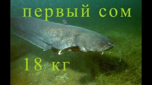 gopro под водой мой превый сом