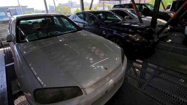 Japan's Auto Auction | Dozens of JDM Cars sold EVERY Second! смотреть онлайн