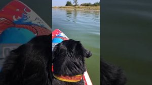 Озеро Большой Куяш село Огнево