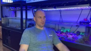 "Рифовый Аквариум" Турбеллярия (Pericelis)  . Часть 35