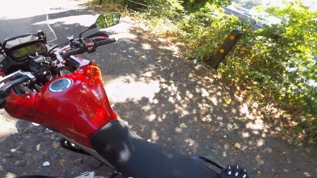 R & G Racing Crash Bars on the 2019 Honda CB500X | Oregon Motorcycle 2020 #hondacb500x