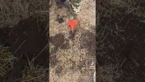 Металлоискатель фишер ф 75.