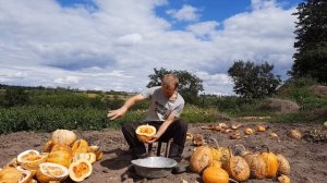 Выбираем семечки с тыкв урожай 2021 года часть 2 | Choosing pumpkin seeds harvest 2021 part 2