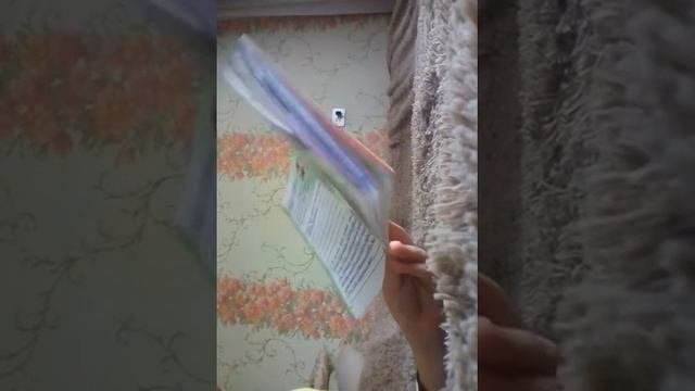 Обзор на читательский дневник