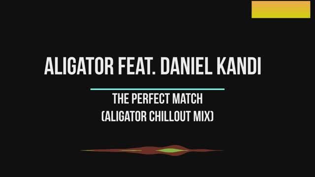 The Perfect Match (Aligator Chillout Mix)