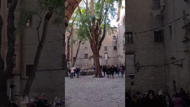 Spain Barcelona Plaza de San Felipe Neri Short View