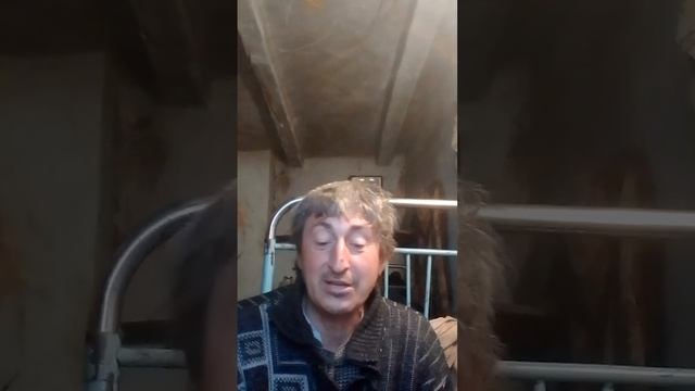 песня на стихи Владимира Высоцкого.темиртау смотреть онлайн