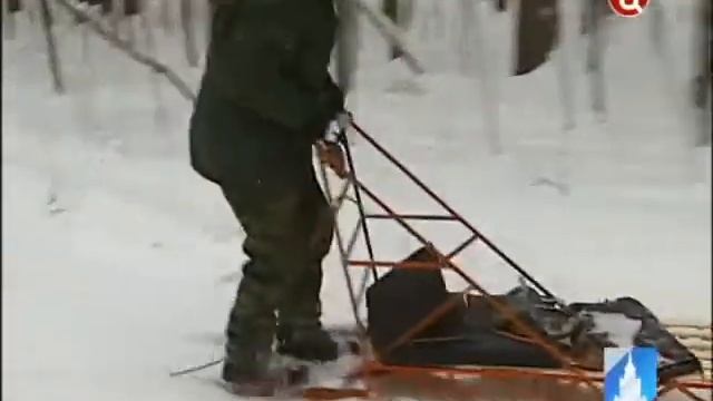 Кузьминский парк патрулируют на собачьих упряжках смотреть онлайн