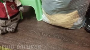 показываю свою одежду😺