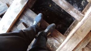 Устранение Грибка. Демонтаж Пола В Деревянном Доме. Метод Отбора.