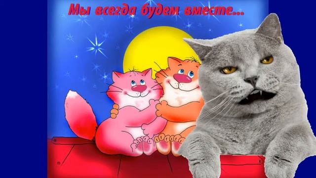 МОЙ КОТИК смотреть онлайн